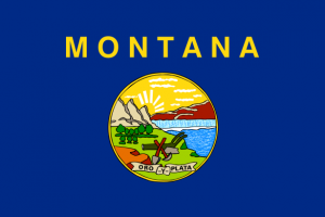 State Flag on Montana